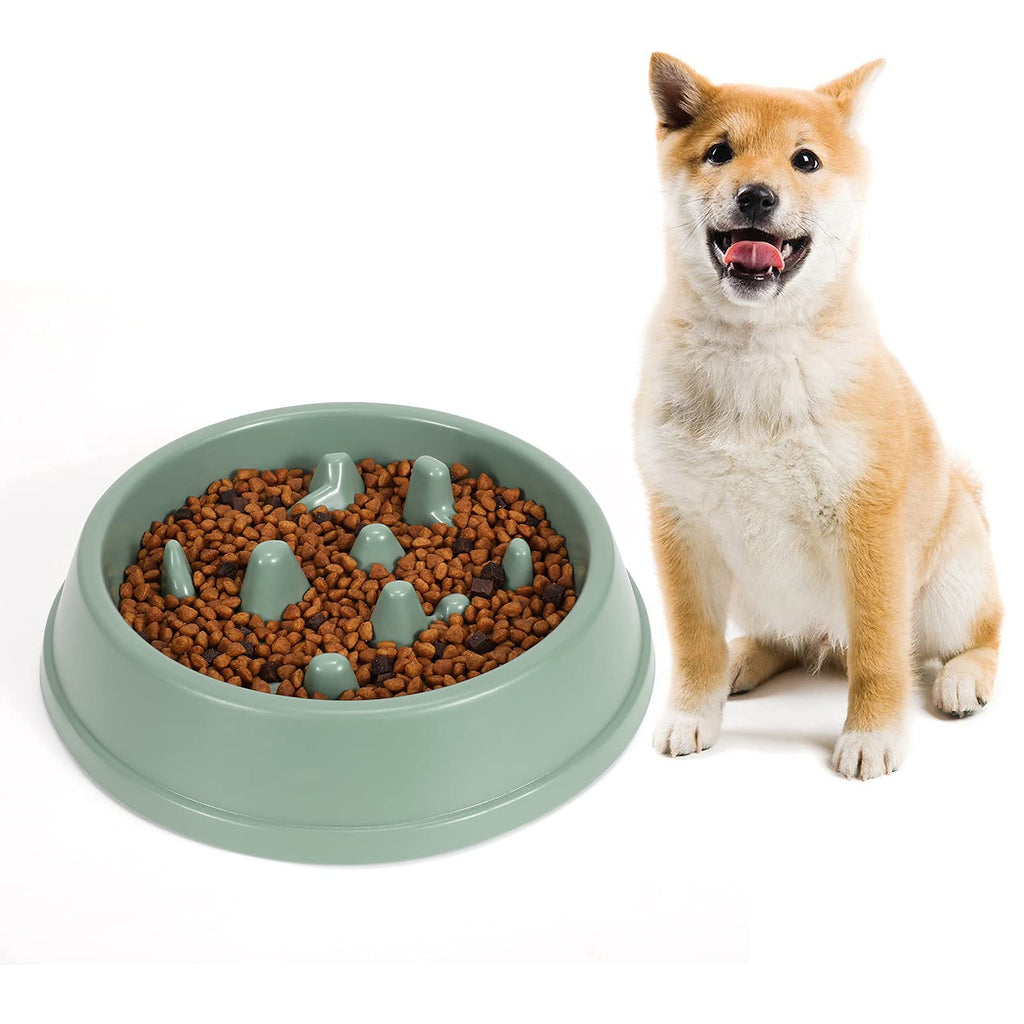 WHIPPY Slow Feeder Dog Bowl, Anti-Gulping Pet Feeding Bowl, Bloat Stop Dog  Bowl for Large Dogs